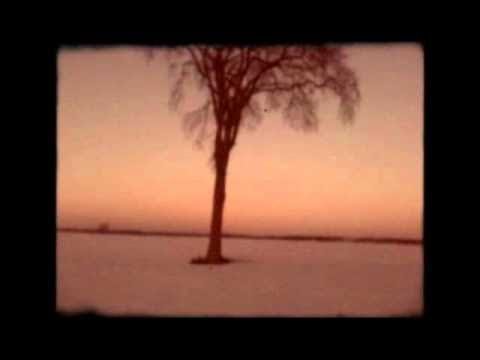 Au Pays Des Sapins Géants - Les Cowboys Fringants