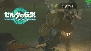 謎解きはもうEZですよ！【＃９】【ゼルダの伝説 ティアーズ オブ ザ キングダム】