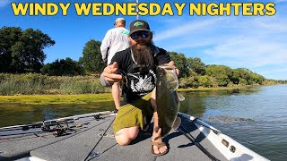 Windy Wednesday Nighters Biggest Bag Yet... California Delta