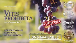 VITIS PROHIBITA - Resistant Grapes Coming out of the Shadows - ENGLISH TRAILER
