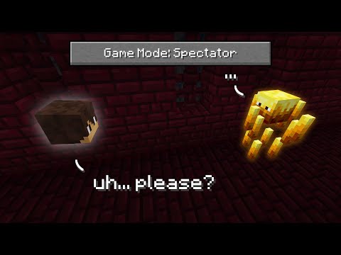 Mud Flaps - I Beat Minecraft in Spectator Mode (no cheats)