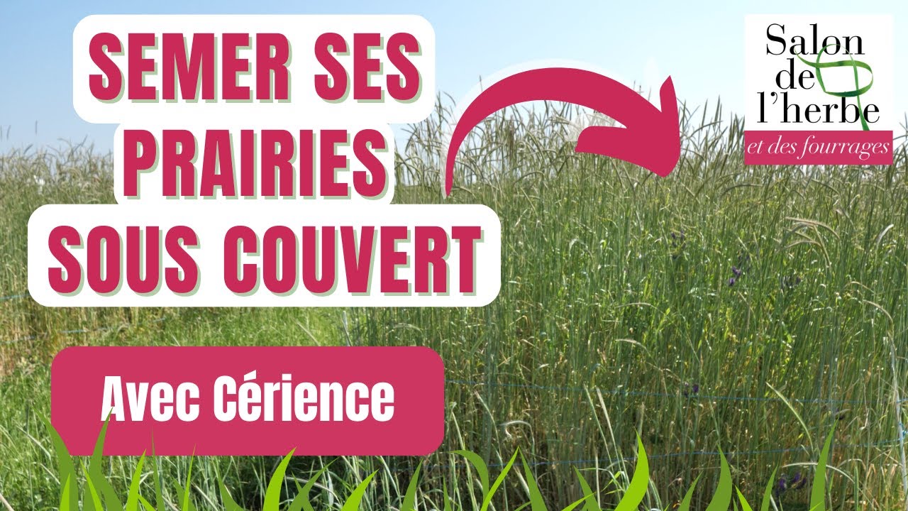 Semer ses prairies sous couvert végétal avec Cérience