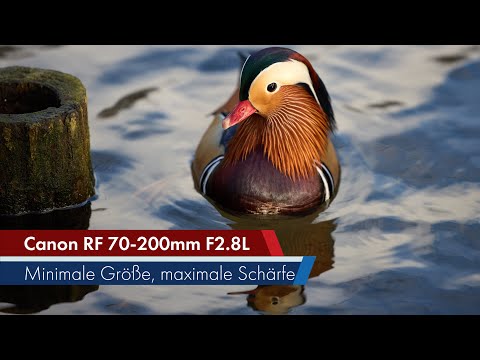 Canon RF 70-200 mm f/2.8L IS USM | Kompaktes Tele-Zoom-Objektiv im Test [Deutsch]