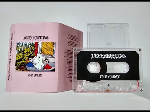 Vreemdeling/Zygmythkaupt - S/T (2019) - *Split*