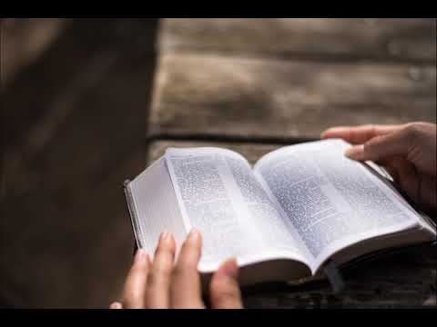 Wie man die Bibel richtig verstehen kann.