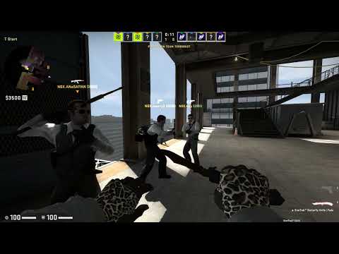 CSGO POV vilga 22-12 | Nigma Galaxy vs NIP Female | Vertigo | ESL Impact League Season 2