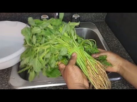 Terere vegetable recipe|Lenga lenga|Bitekuteku