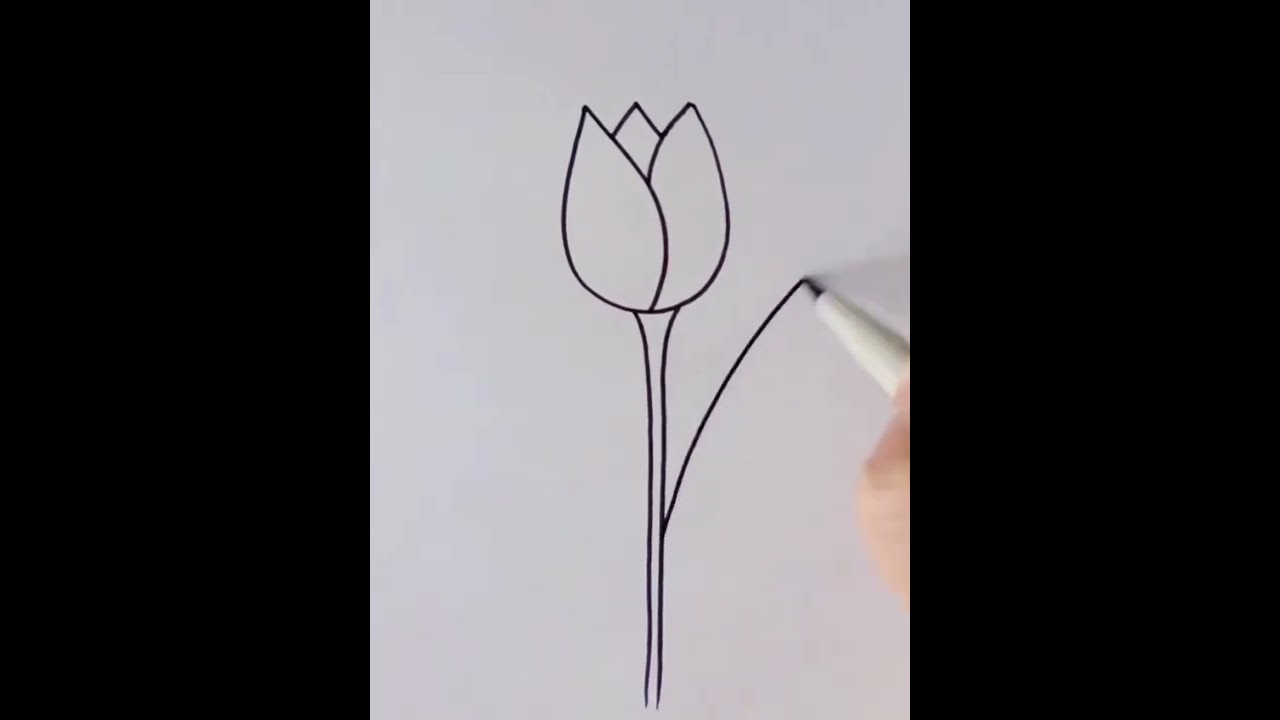 Easy Drawing Tricks Of Tulips