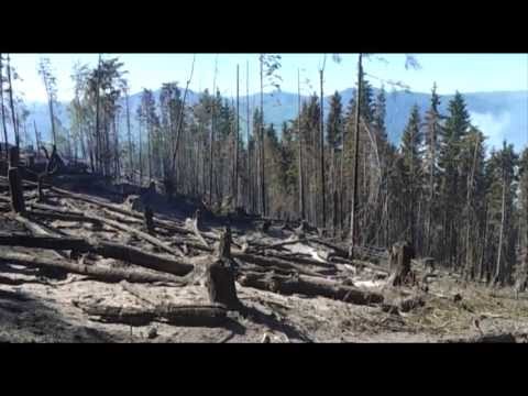 Incendiu Agas Bacau 2013