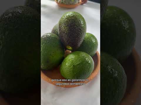 Entregamos las primeras 20 unidades productivas