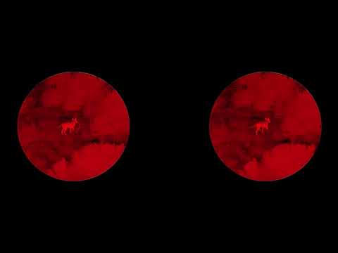 Kety Fusco - Excerpt from The Harp, Chapter I, The Moment Before Dying