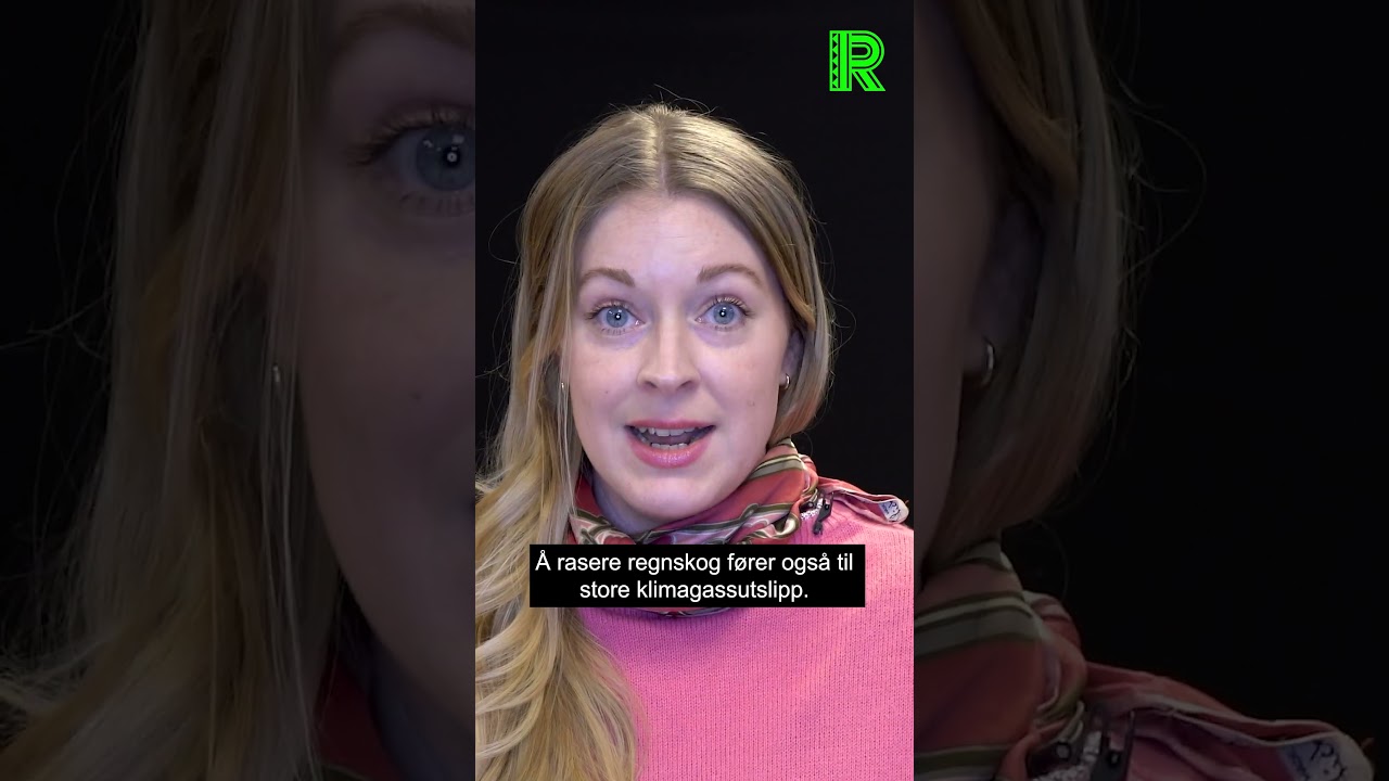 Er kjøkkenutstyr i tre miljøvennlig?