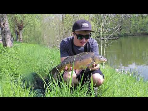 Stalken an der Oberfläche // Karpfenangeln 2018