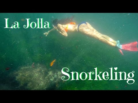 La Jolla Snorkeling