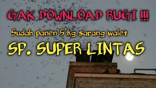 Download lagu SP. SUPER LINTAS ORIGINAL panen 5 kg sarang walet mp3 Download lagu SP. SUPER LINTAS ORIGINAL panen 5 kg sarang walet mp3