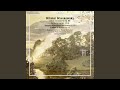 Cello Concerto in C Minor, Op. 66: I. Lento ma non troppo. Andante