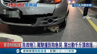 Re: [新聞] 開車撞死流浪狗、嗆「那是畜牲」 肇事者