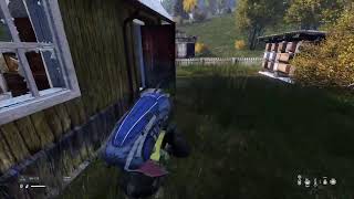 DayZ