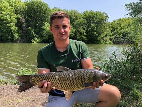 питерский клуб рыбаков-новости с водоёмов 2022. русская рыбалка 3. рыбалка на камчатке. российский рыболовный форум. северная рыбалка.