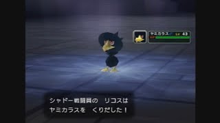 今までで一番てこずった【ポケモンコロシアム】#14