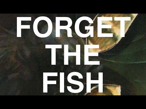 How We Broke Dandân: Magic’s Weirdest Format