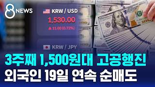야간 거래서 1,540원 뚫은 환율..당국 개입도 무색 / SBS 8뉴스