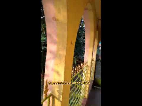 Village scenery 🏕🛖🏞 Tranquility of my village #village #greenery #plants #trees #sudeshna'ssphere