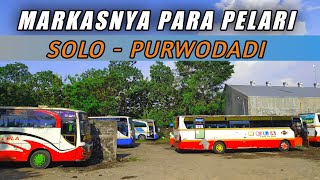 Download lagu MENGINTIP MARKASNYA PELARI SOLO - PURWODADI I GARASI PO RELA mp3 Download lagu MENGINTIP MARKASNYA PELARI SOLO - PURWODADI I GARASI PO RELA mp3