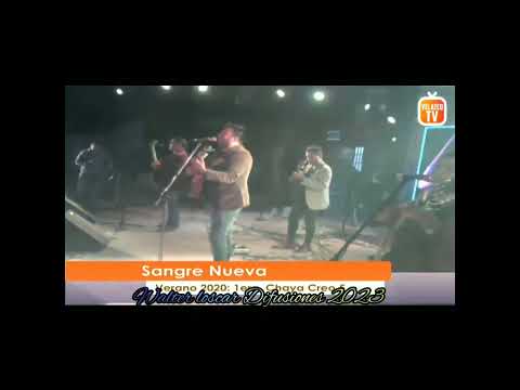 sangre nueva en vivo