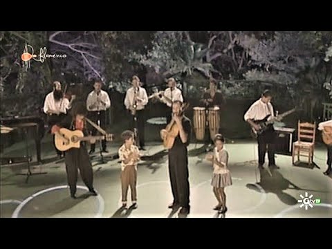 Canción. Niño Jero y su Banda. 1990