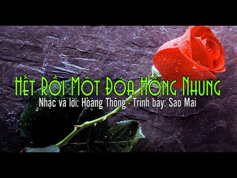 Hết rồi một đóa hồng nhung - Sao Mai