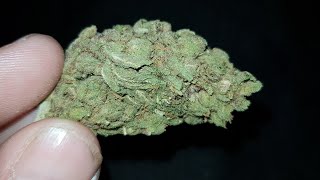 Venom OG Strain Review