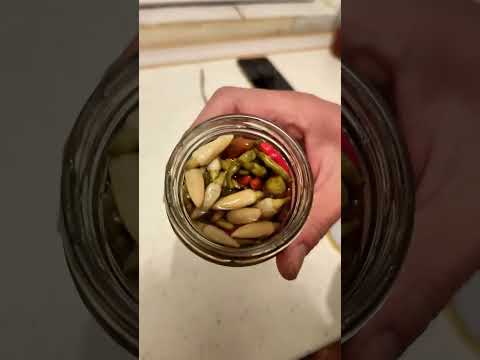 Drinking Rakija With Winter Salad  #garden #balkan #greenliving