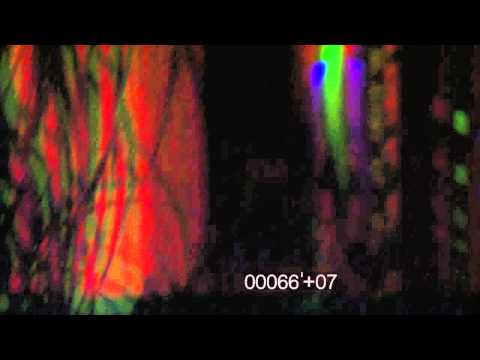 PHARA - 33 DESGRACIAS  (PHARA Prods)