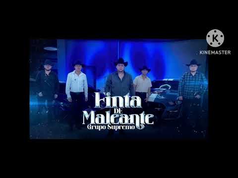 Finta De Maleante  _  Grupo Supremo 2024