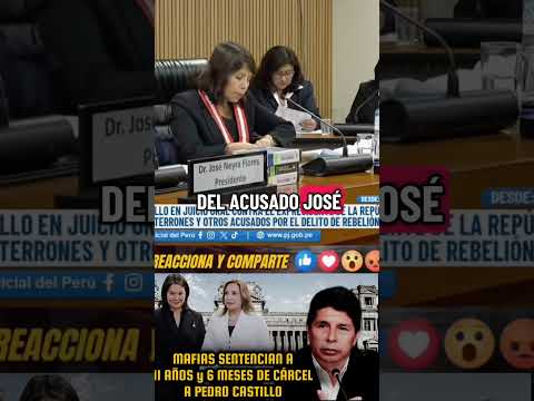 11 años de cárcel a Pedro Castillo