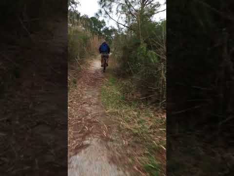 Riding bikes down Florida Trail