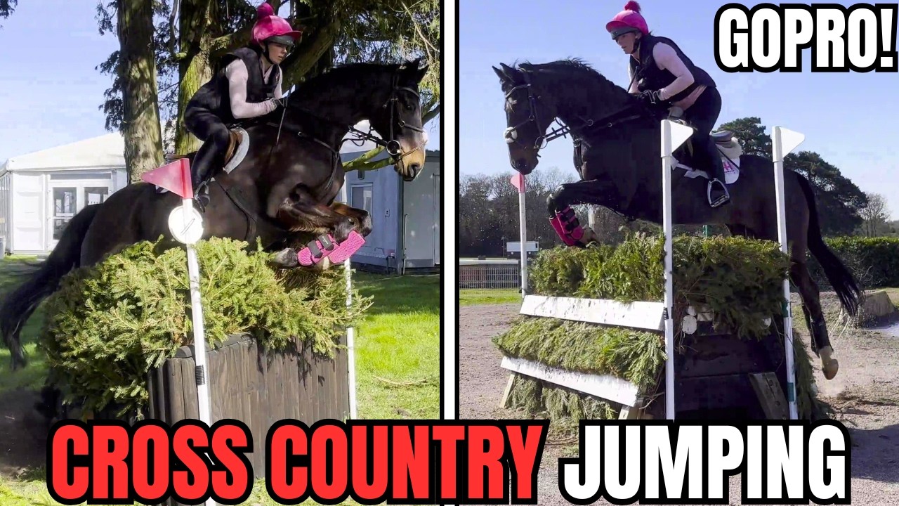 FROM 2* EVENTER TO BAREFOOT COMEBACK | MAX GOES CROSS COUNTRY || VLOG 210