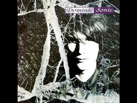 Dominic Sonic - Hey Hey My My  (1991)