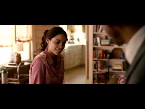 Bird York Have no Fear