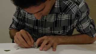 An improved freehand sectioning method for small, delicate and dry plant specimens