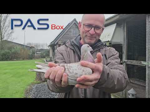 Bricon PAS op het hok