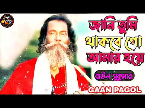 Baul Sukumar | Koto Din Koto Rat 😭💔 | কতো দিন কত রাত বিরহ বেদনা 😭💔💥 বাউল সুকুমার 💥 DESANTARI BAND