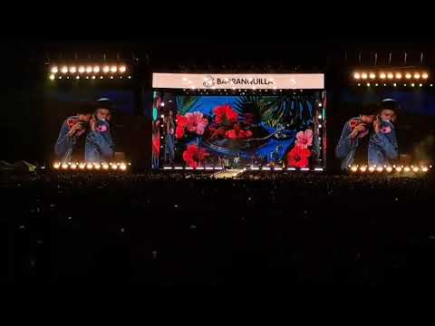 La cátedra de Juan Luis Guerra.