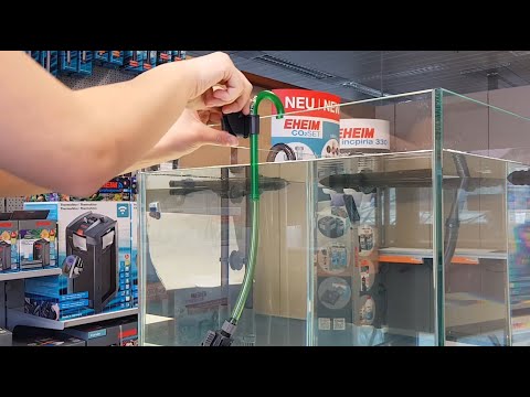 Watch Video on YouTube