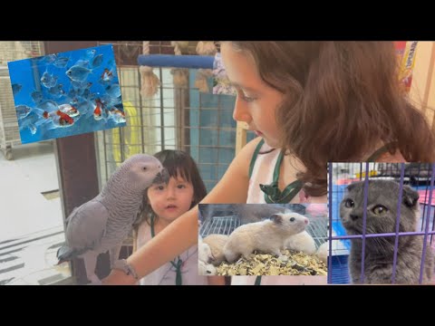Pets shop in Qatar2022. Maryam and Mubina visited pets shop with her friends  🐈🐇🐶