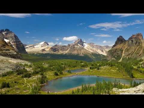 Rinaly ft. Donna Tella - Home [AVA White]