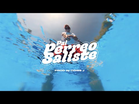 King Savagge, Tunechikidd, Franco El Gorila - Pal' Perreo Saliste (Prod. Criss J.) | Video Oficial