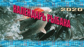 Календарь рыболова 2020 киевская область