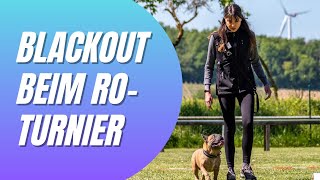 Blackout beim RO-Turnier - Rally Obedience Klasse 1 Französische Bulldogge